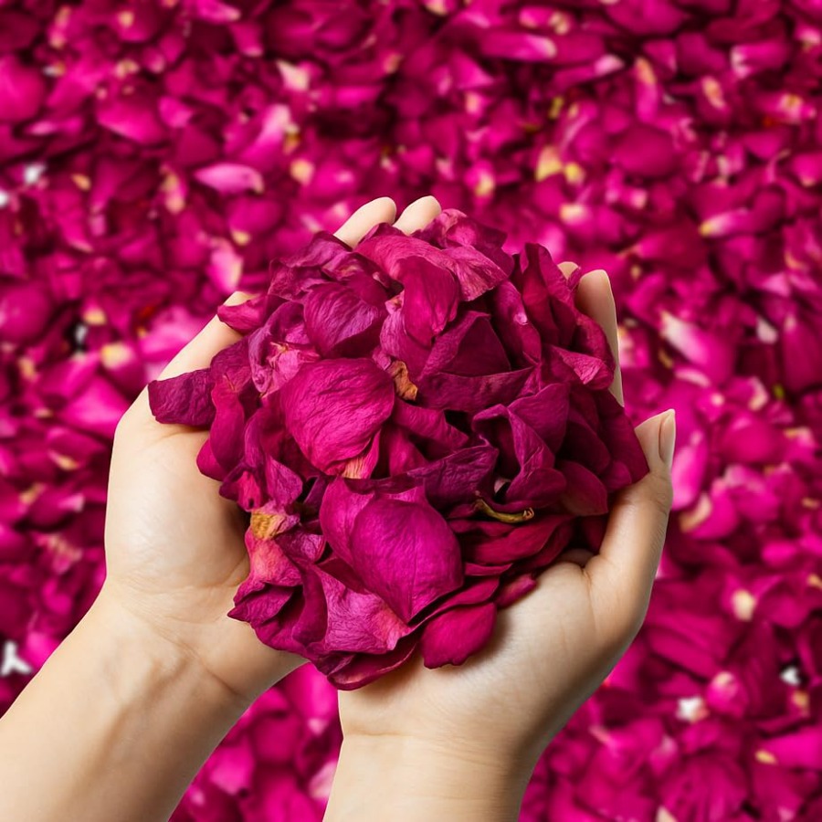 Candle Making Bath - Dried Rose Petals Bulk 5oz Natural