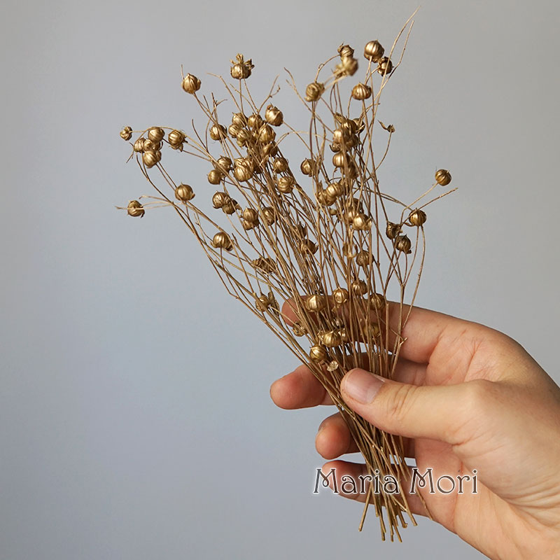 5g Preserved Flax Bean Natural - Candle Making At Home recensie en prijs